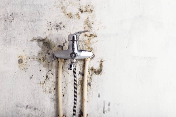 Best Mold Removal Near Me  in Alturas, CA