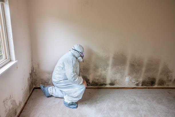 Best Crawl Space Mold Removal  in Alturas, CA