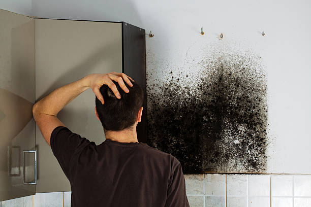 Best Emergency Mold Removal  in Alturas, CA